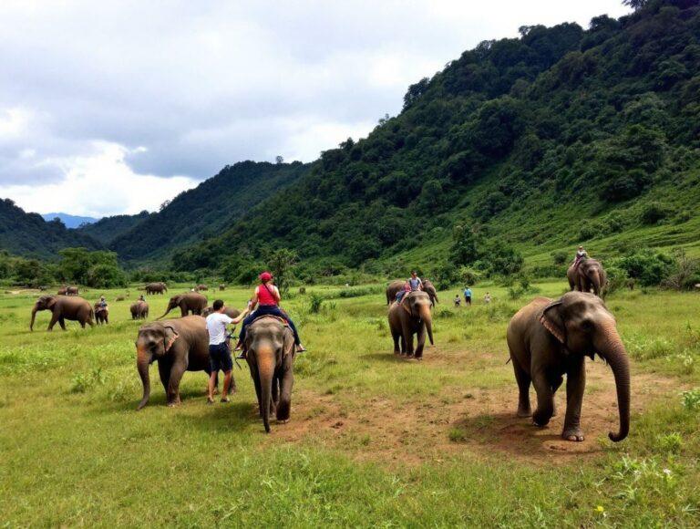 Elephant Nature Park – Ethical Wildlife Experience Near Chiang Mai Golf