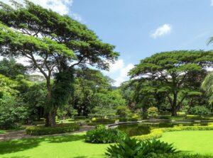 Bogor Botanical Garden Kebun Raya Bogor